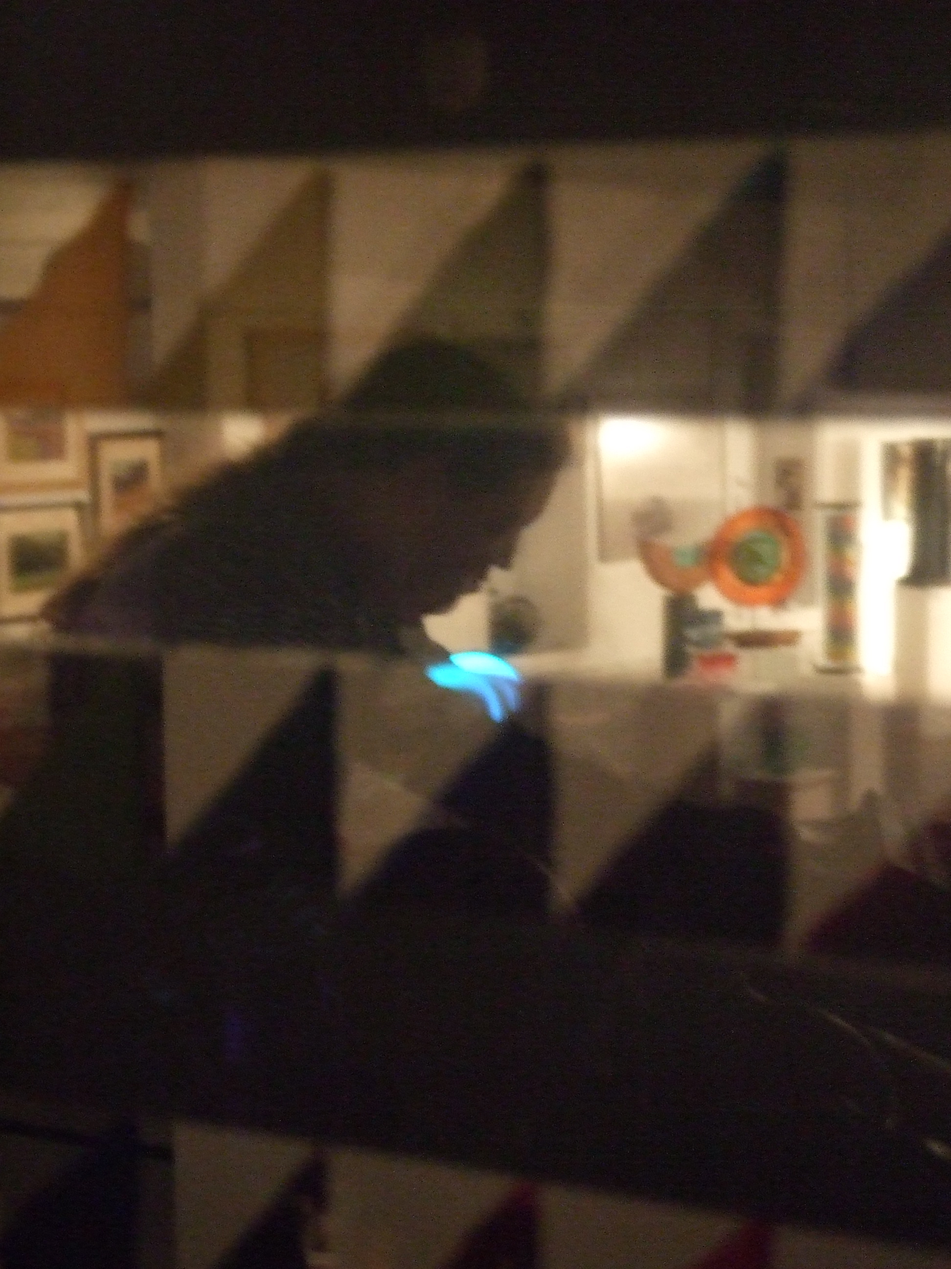 DSCF8145